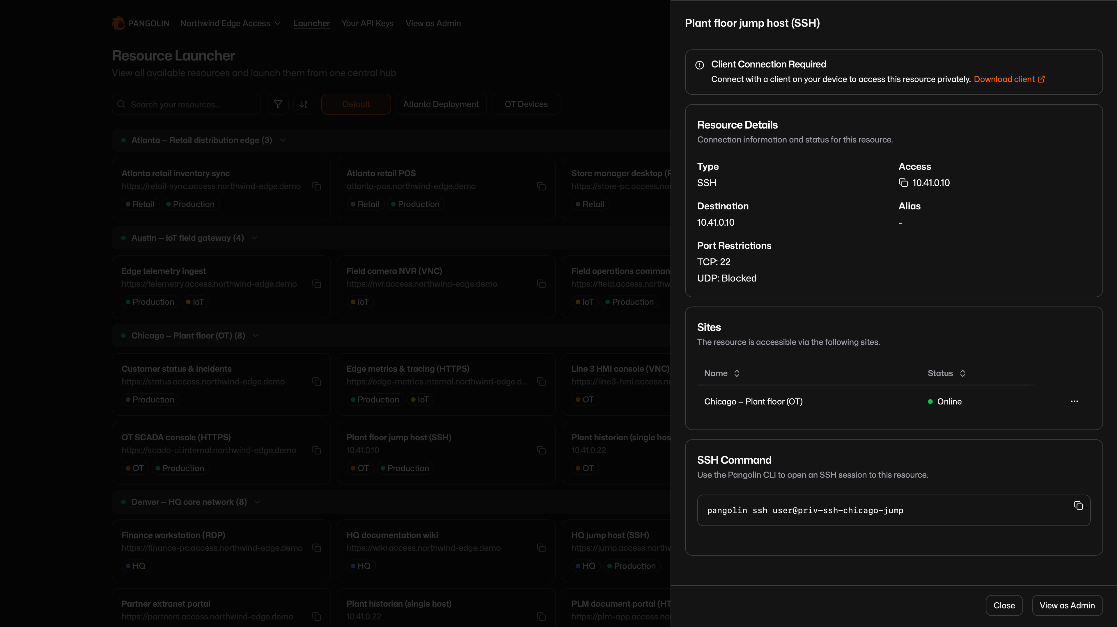 Resource Launcher Details Panel